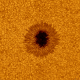 Illustration for article titled This Is What a Sunspot Really Looks Like